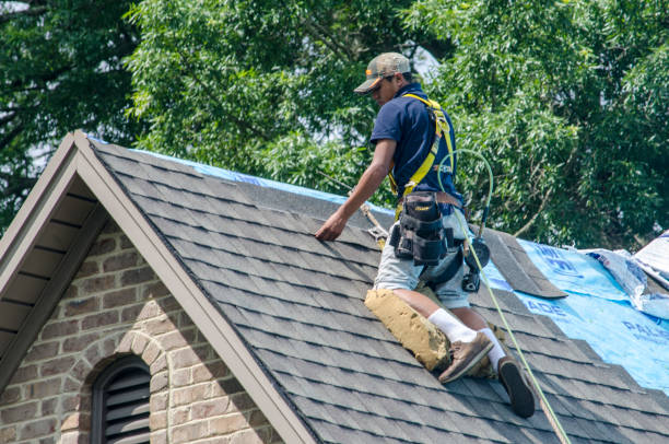 Best New Roof Installation  in Washington, WV